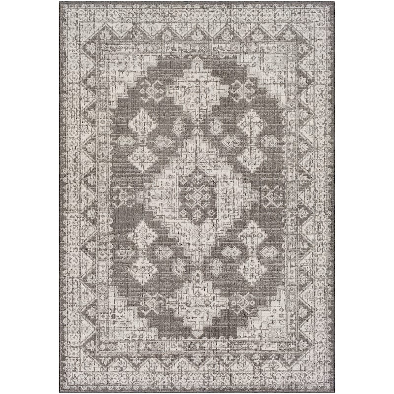 Susannah Indoor / Outdoor Updated Traditional Area Rug