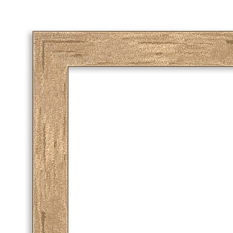 Imprint Non-Beveled Wood Framed Full-Length On the Door Mirror - Glass Size 14x48