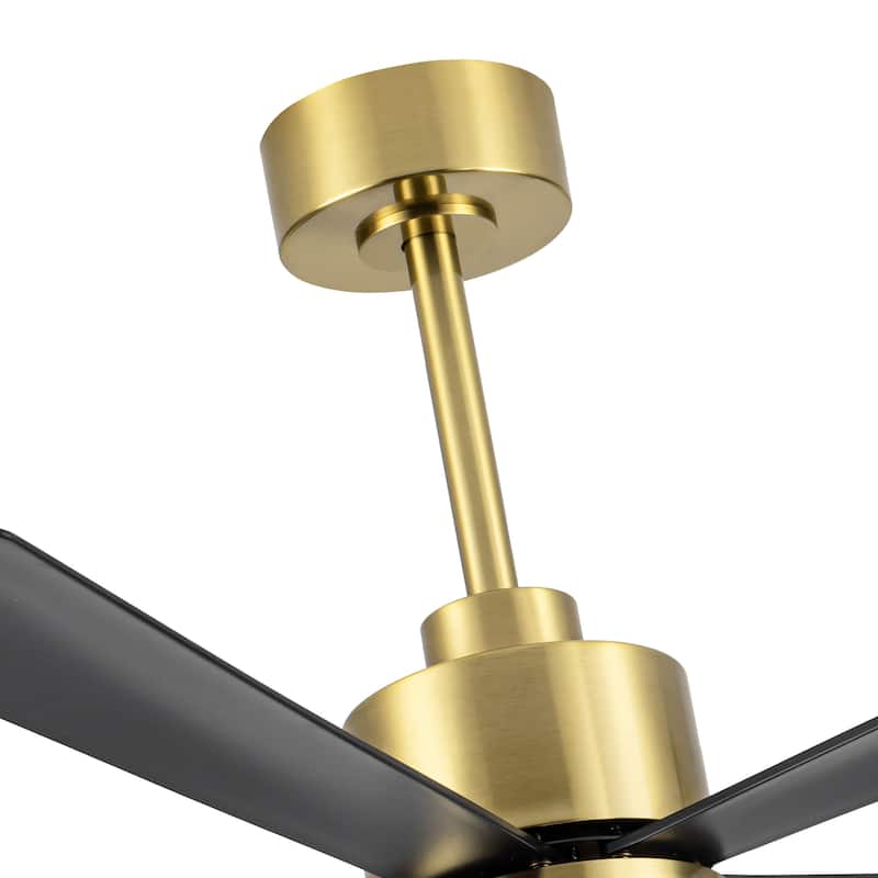 52-Inch Black/White Ceiling Fan with Remote Without Light(5-Blade)