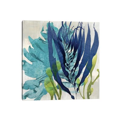 iCanvas "Sea Nature II" by Melonie Miller Canvas Print