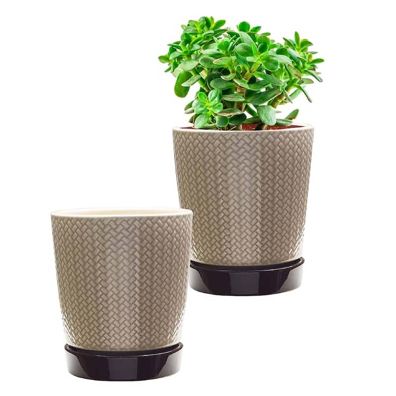 Southern Patio Alice Ceramic Indoor Pot Planter, 2-Pack - 8" Diameter (2-pack) - 8" Diameter (2-pack) - Light Brown