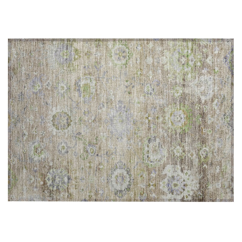Machine Washable Indoor/ Outdoor Vintage Traditional Chantille Rug