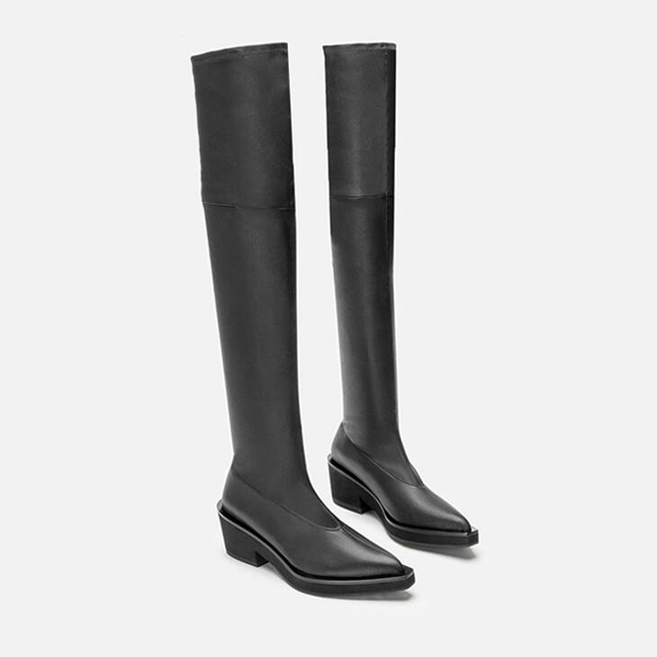 Clergerie Tenny Knee High Boot