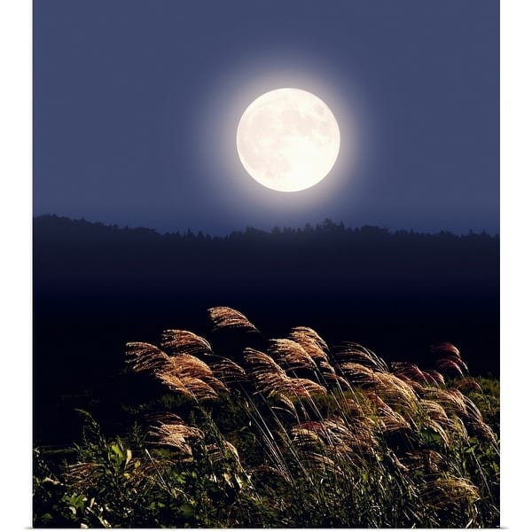 Shop Full Moon And Japanese Silver Grass Long Exposure Multi Overstock 16449428
