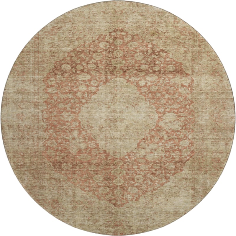 Premium Washable Super Soft Vintage Traditional Mayfield Rug