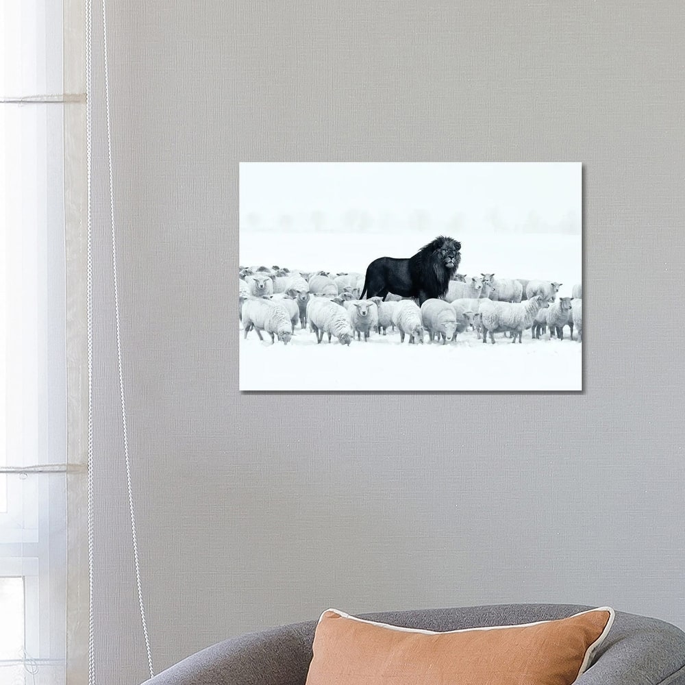 iCanvas "Lion Among Sheep" by Ruvim Noga Canvas Print