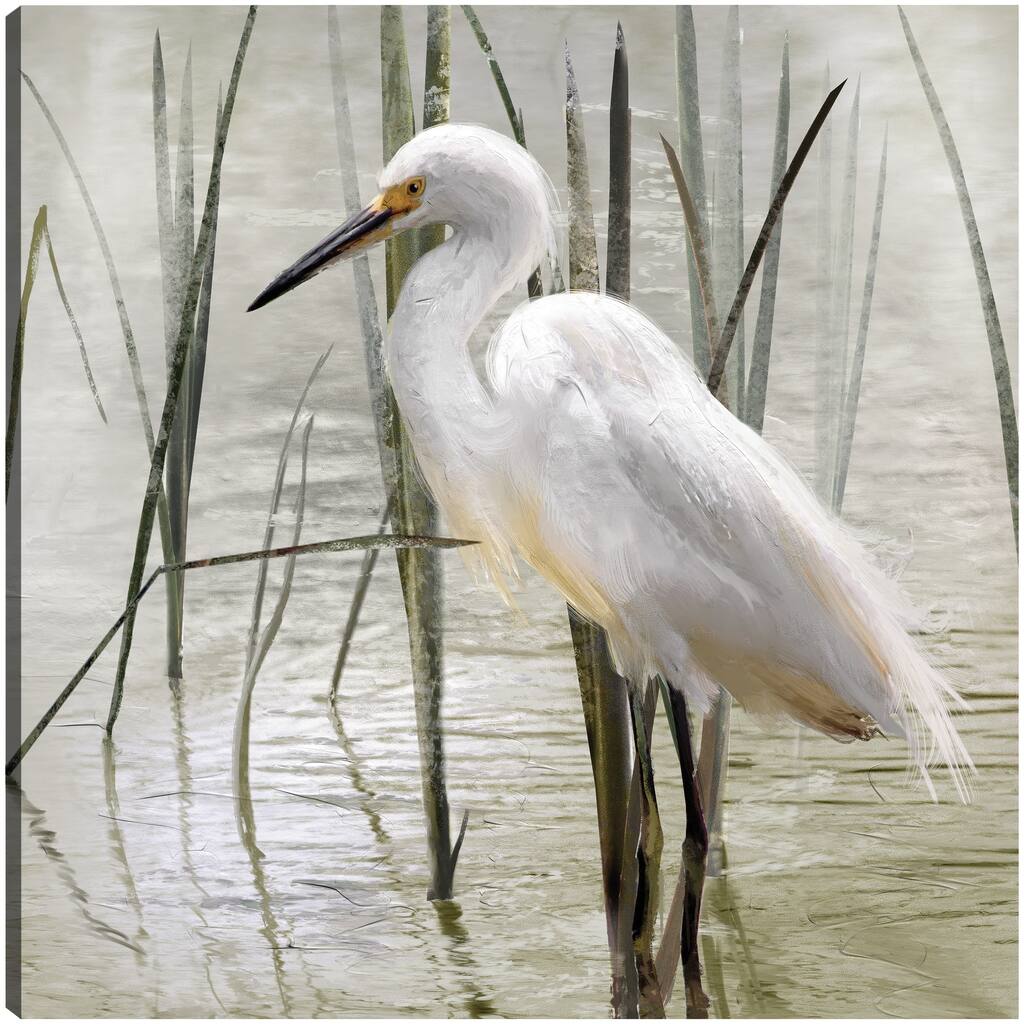 In the Reeds By Studio Arts Canvas Art Print