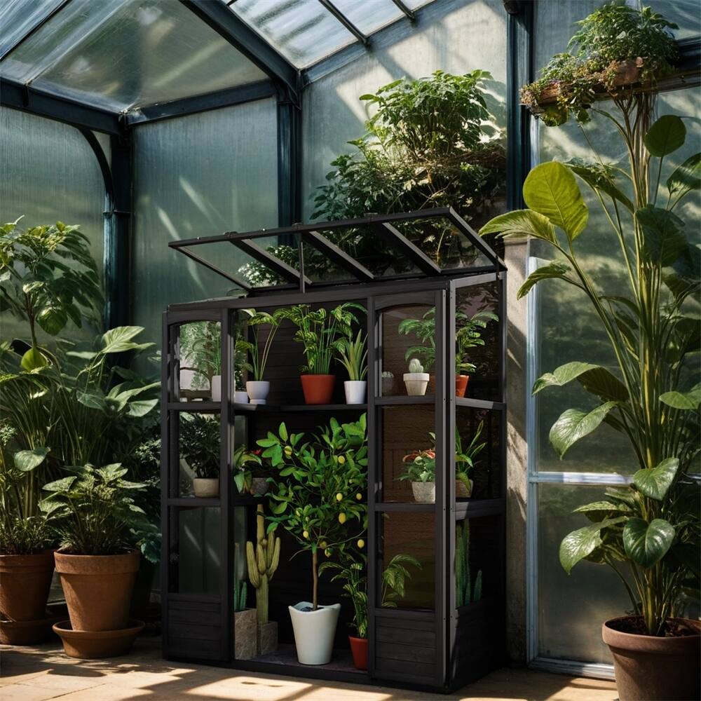 Wooden Walk-in Outdoor Greenhouse with Skylights and Folding Shelves
