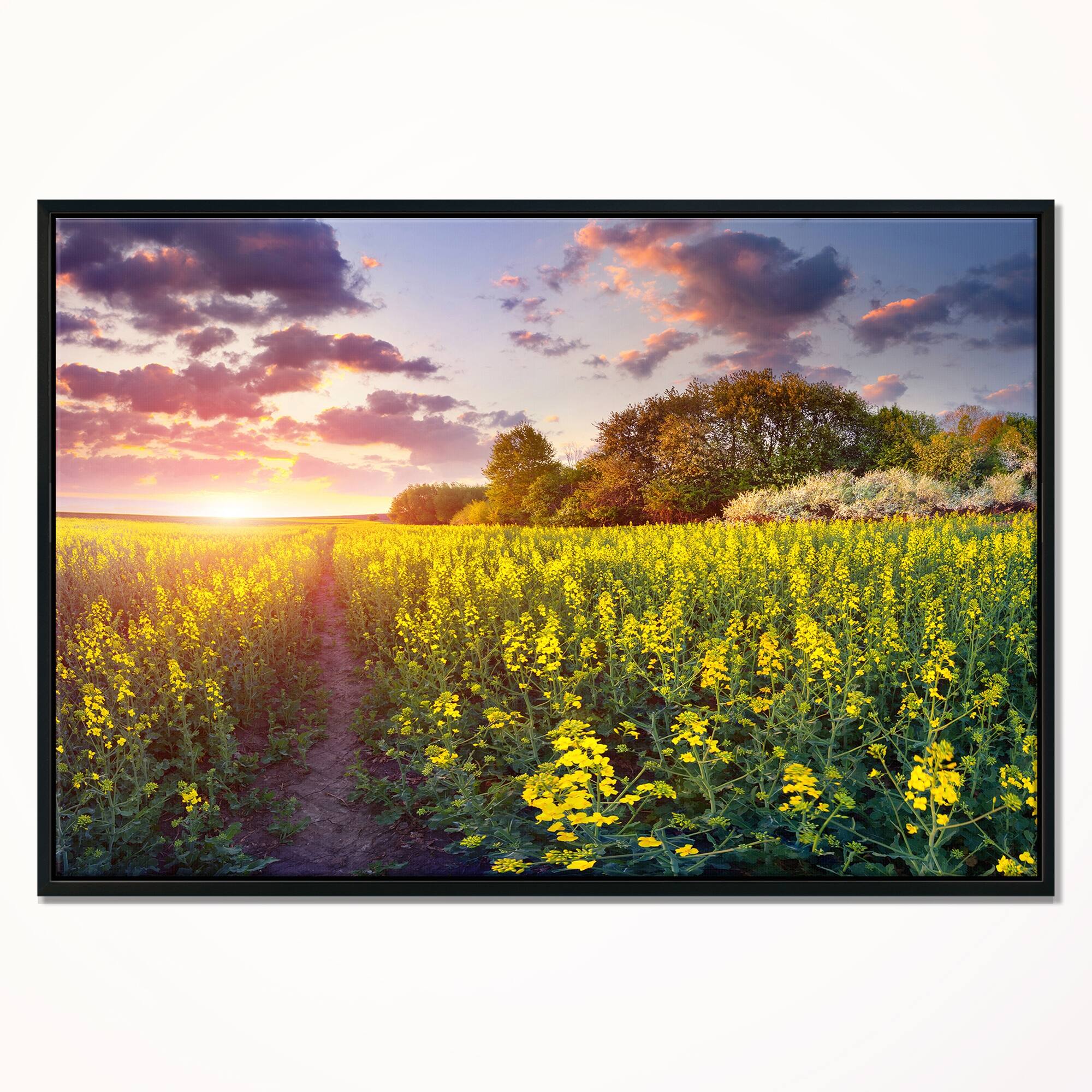 Designart "Fantastic Yellow Field at Sunset" Large Landscape Framed