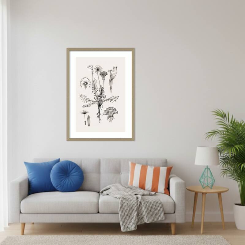 Botanical Study of Dandelion Forms by Eli Jones Wood Framed Wall Art Print