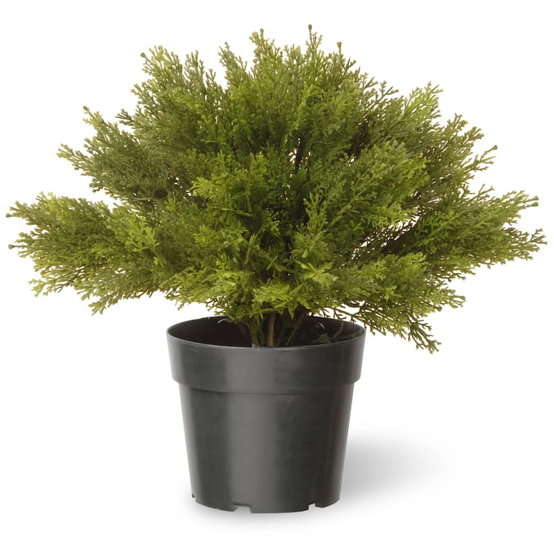 National Tree Company 15 in. Globe Cedar Tree - 15 inches