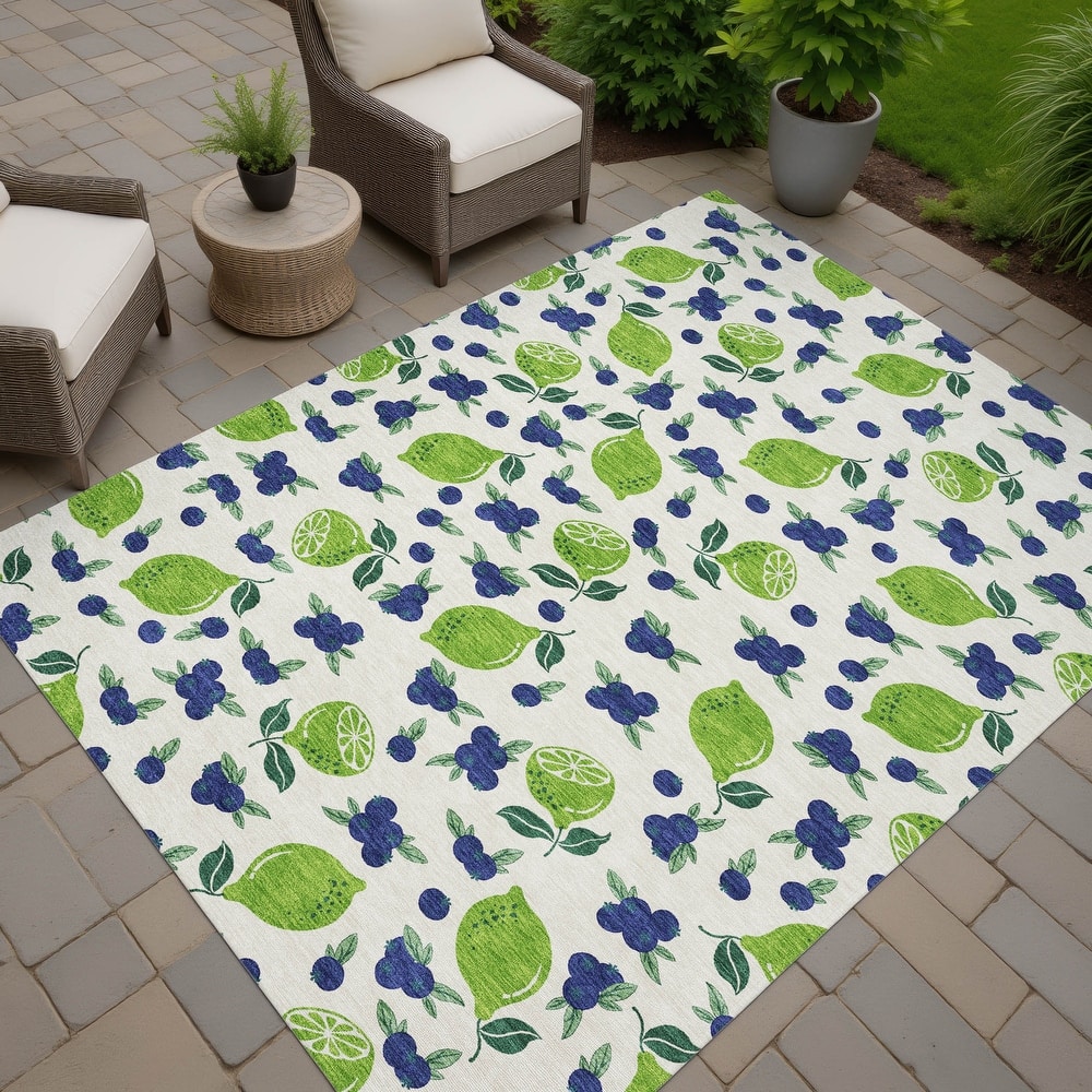 Machine Washable Indoor/ Outdoor Citrus Berry Chantille Rug
