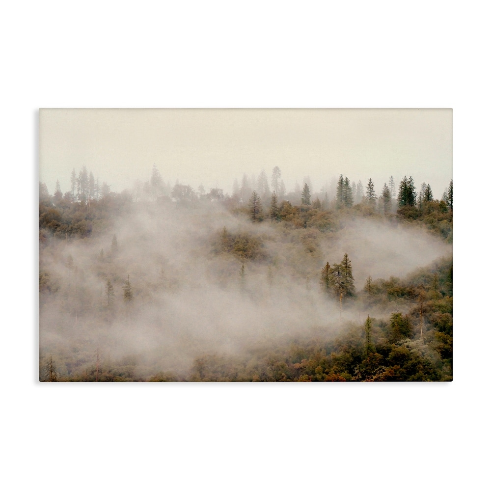 Stupell Morning Fog over Trees Canvas Wall Art Design By Gemma Bardot