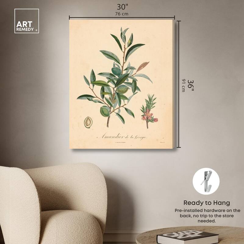Almond of Georgia I Canvas by Art Remedy, Gallery Wrapped