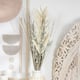 Option Beige
