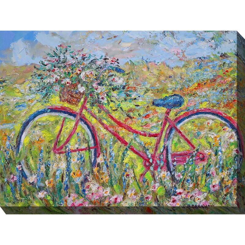 Brenda's Bike Outdoor Art 40x30