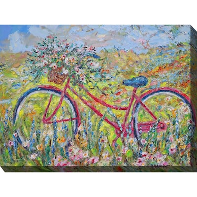 Brenda's Bike Outdoor Art 40x30
