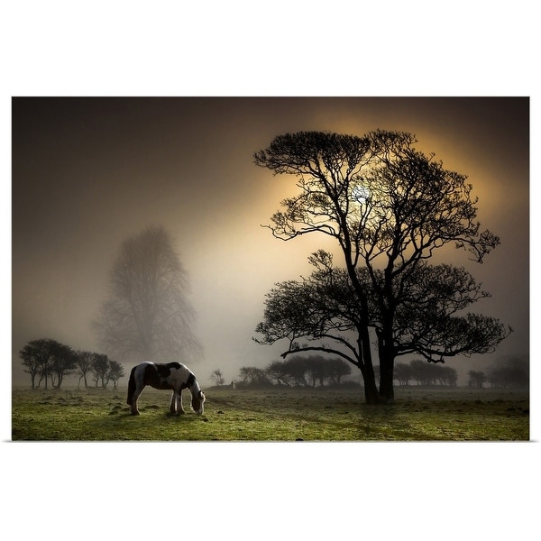 "Grazing horse in partially wooded field." Poster Print