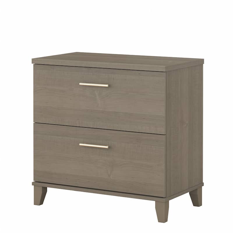 Bush Furniture Somerset 2 Drawer Lateral File Cabinet with Storage