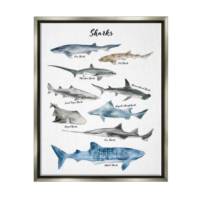 Stupell Nautical Shark Chart Watercolor Marine Animals Floater Frame - White