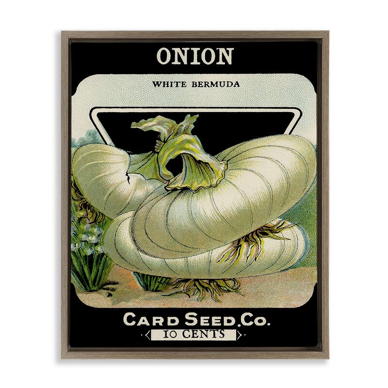Stupell Vintage Garden Onion Framed Floater Canvas Wall Art Design By Lil' Rue - 25 x 31 - Brown