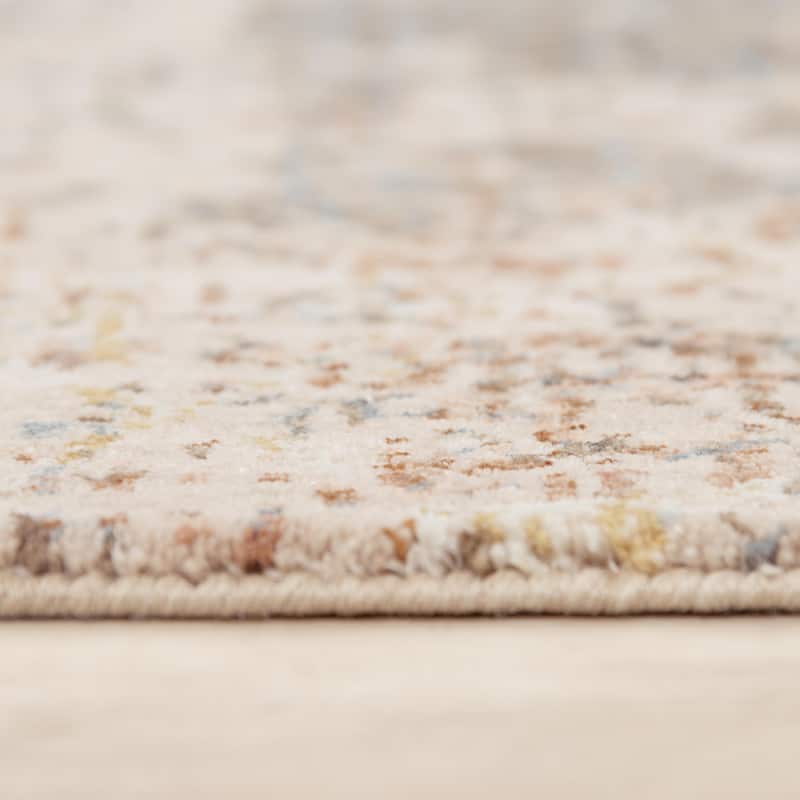 Alora Decor Lake Transitional Beige/Multi Recycled Polyester Area Rug