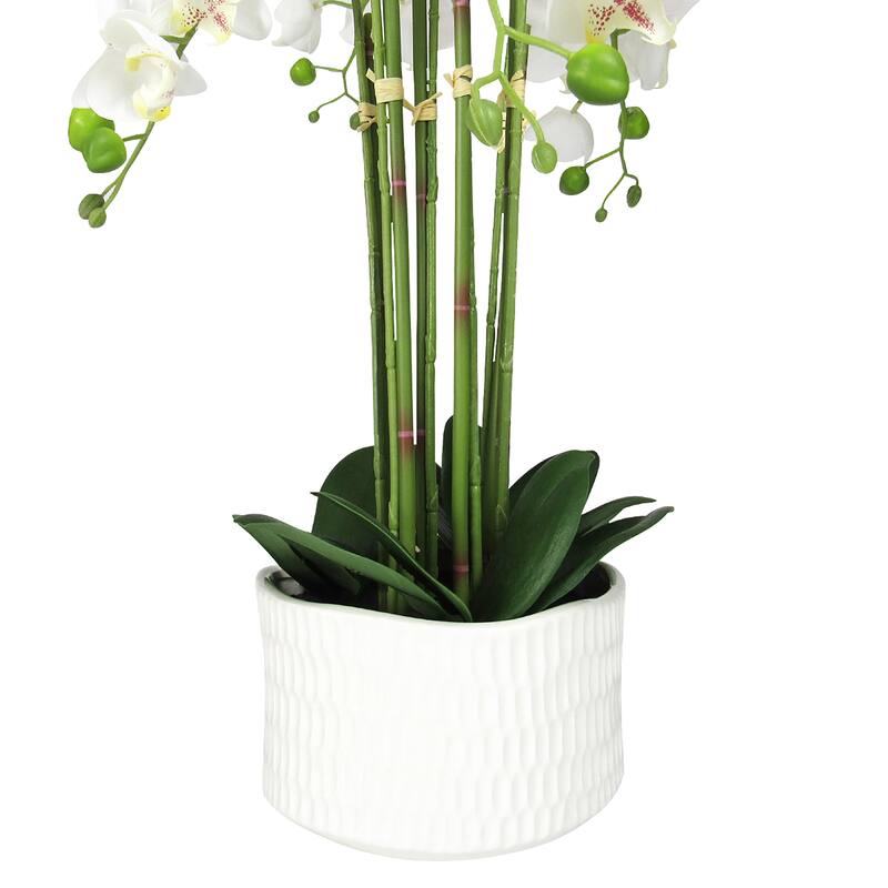 Cream White Artificial Phalaenopsis Orchid Flower Arrangement 6 Stem in Textured Cream Ceramic Pot 20in
