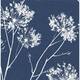 NextWall One O'Clocks Botanical Peel and Stick Removable Wallpaper - 20.5 in. W x 18 ft. L - Navy Blue