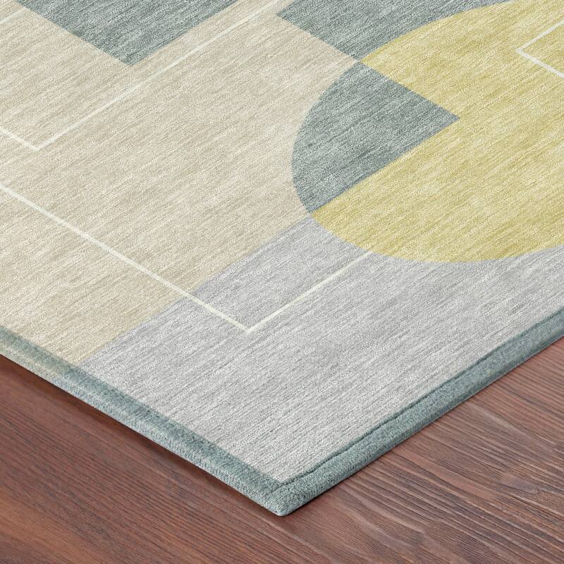 Machine Washable Indoor/ Outdoor Modern Filly Chantille Rug