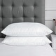 preview thumbnail 1 of 3, Quilted Cotton Cover Soft Goose Feather Down Pillows Set of 2 - White