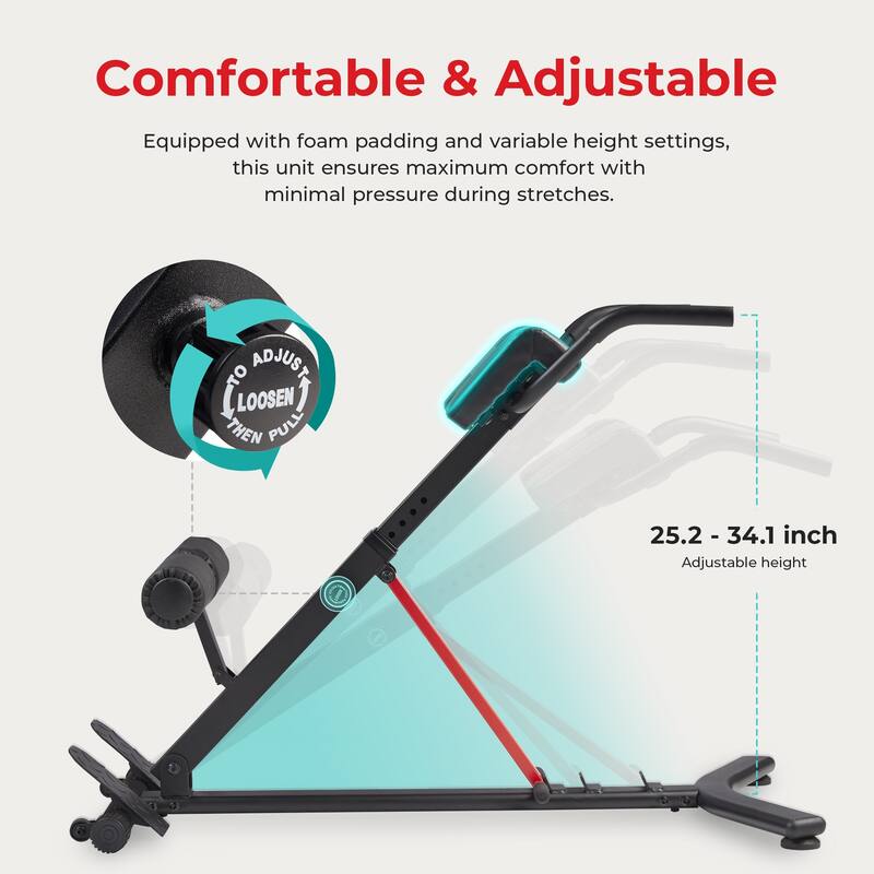 Sunny Health Fitness Roman Chair with Dip Station