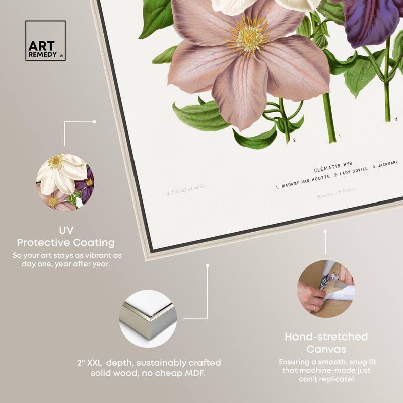 Clematis Canvas by Art Remedy