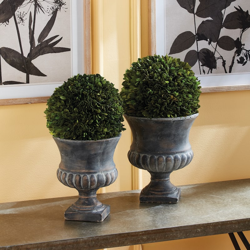 Boxwood Ball 12" - Green