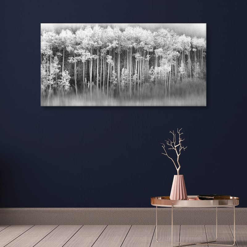 Dreamy Aspen by Danita Delimont Canvas Art Print