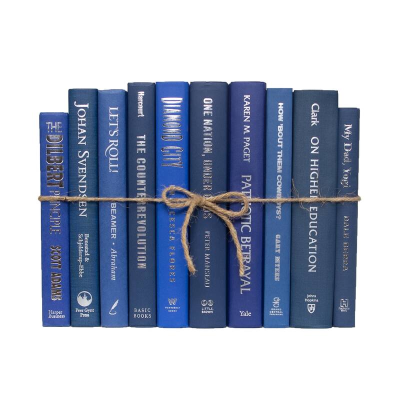 Books Blue Decorative Accessories: Denim & Silver ColorPak