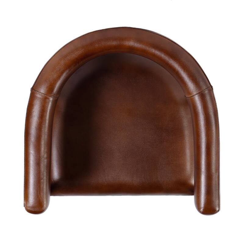 Dallas 19.5 in. Seat Height Leather and Iron Cushioned Dining Chair with Arms
