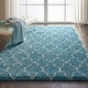preview thumbnail 34 of 114, Nourison Amore Shag Area Rug Aqua - 3' 11" x 5' 11" - Runner/Rectangle
