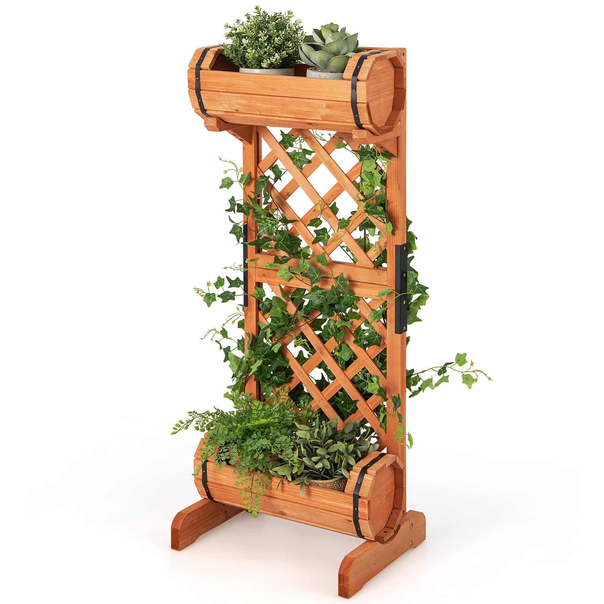 Woody Plant Medium