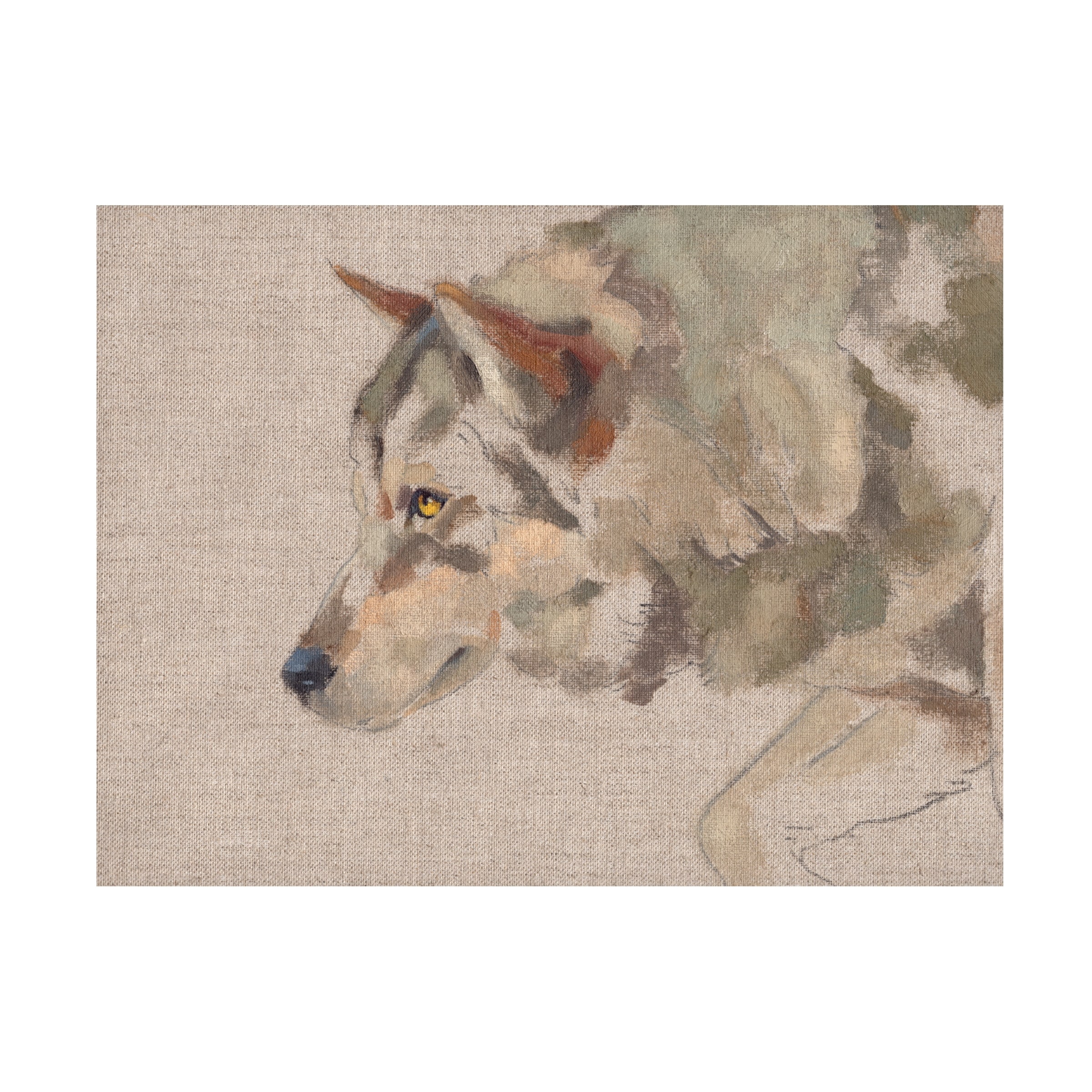 Jacob Green 'Timber Wolf II' Canvas Art