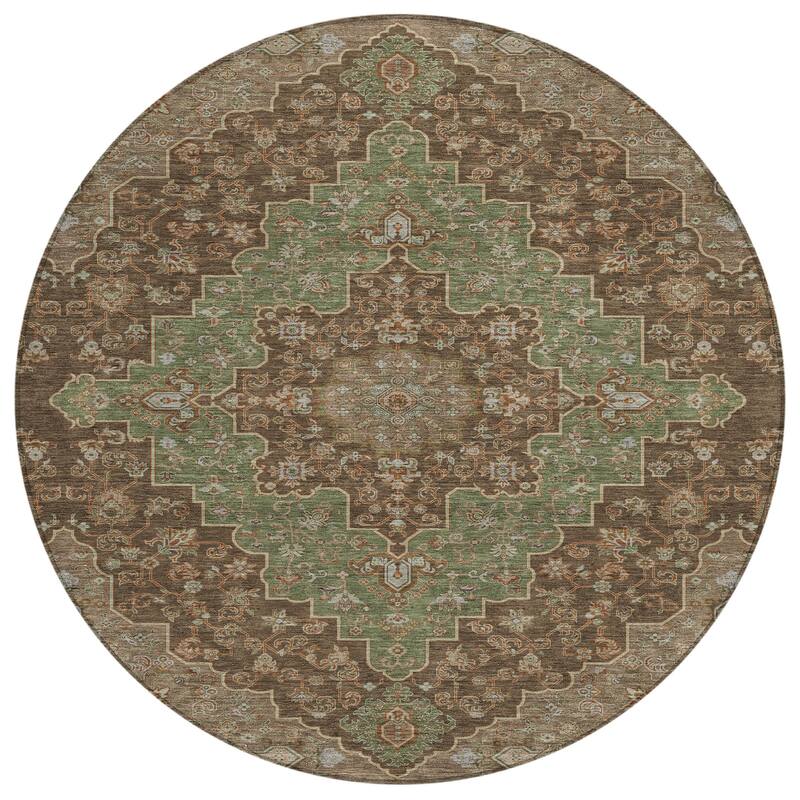 Machine Washable Indoor/ Outdoor Traditional Karachy Chantille Rug