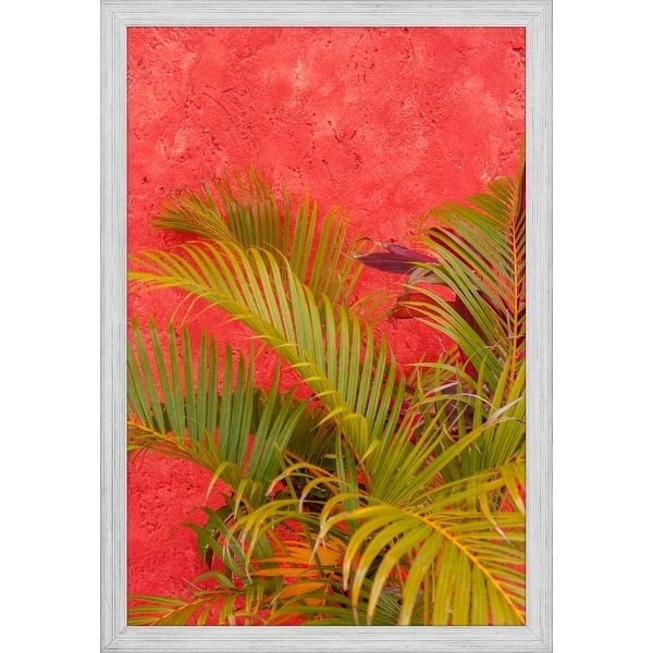 Shop Easy Art Prints Lisa S Engelbrecht S Palm Tree Against