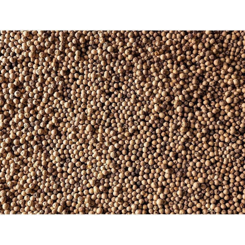 Peugeot Sarawak Malaysian White Peppercorns, 80g - 4 fresh sachets of 20g