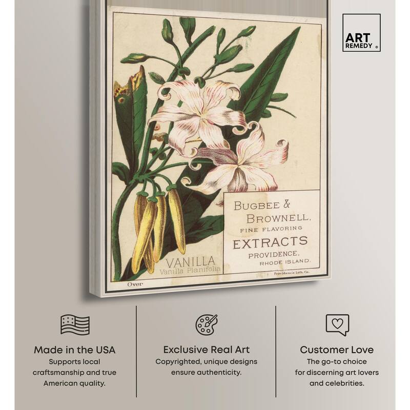 Vanilla Planifolia Canvas by Art Remedy