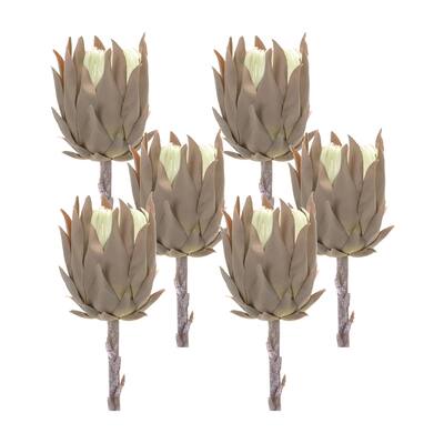 Protea Stem (Set of 6) - 4 x 4 x 20