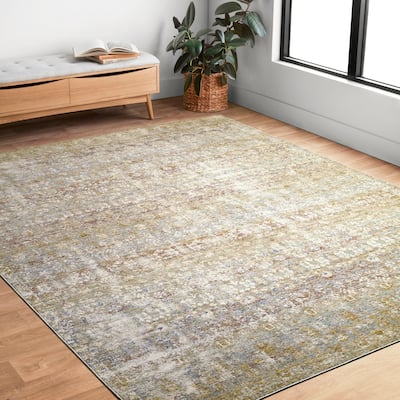 Alexander Home Austen Antique Washed Traditional Inspired Area Rug