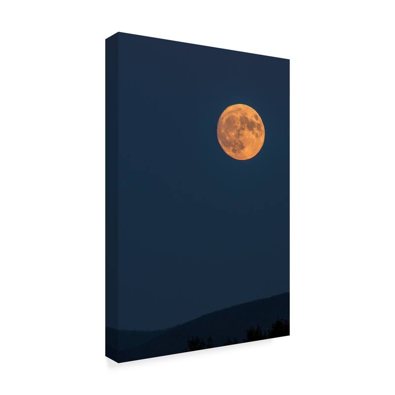 Brenda Petrella Photography Llc 'Supermoon Rise Over Ridge' Canvas Art
