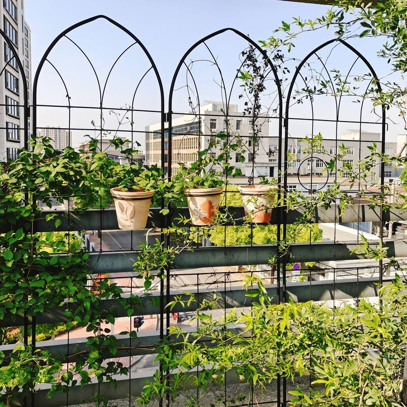2 Pack Metal Garden Trellis 78.7" x 19.7" Rustproof Trellis for Climbing Plants Outdoor Flower Support