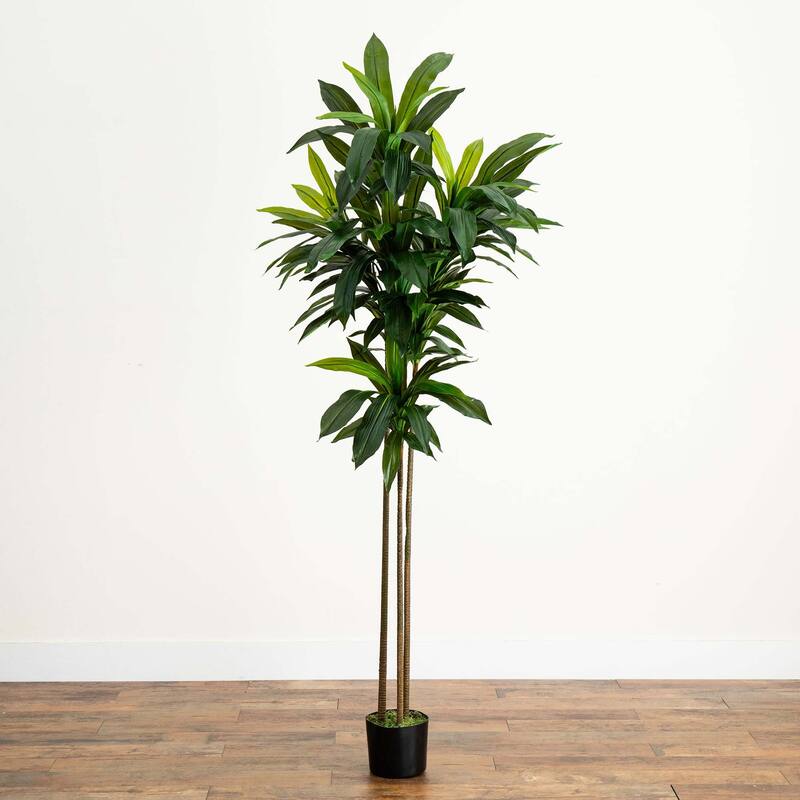 7' Artificial Dracaena Tree with Real Touch Leaves - Green