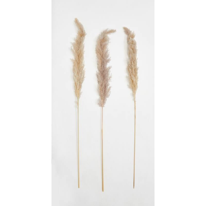 42" Tall Natural Glow Stick Pampas Grass, Set of 6 - 42