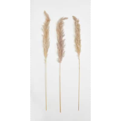 42" Tall Natural Glow Stick Pampas Grass, Set of 6 - 42